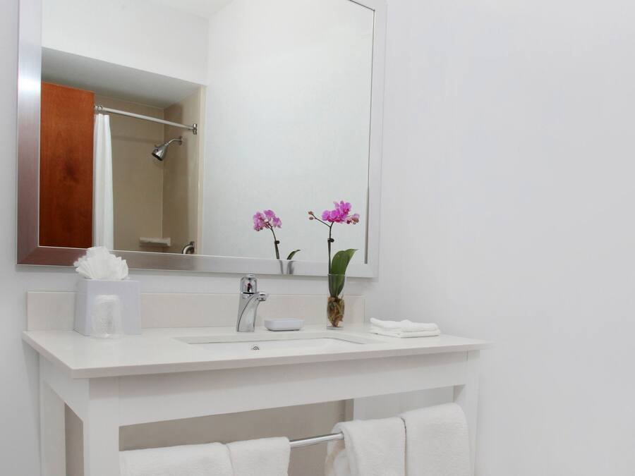 A bathroom with a white vanity, a large mirror, and a towel rack.