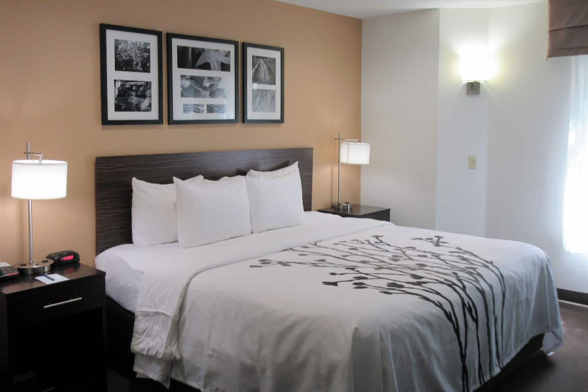 Premium bedding, down duvets, pillow-top beds, in-room safe