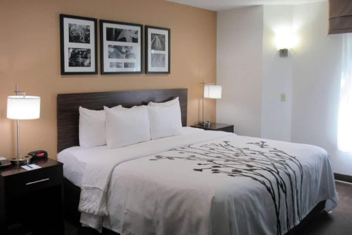 Premium bedding, down comforters, pillowtop beds, in-room safe