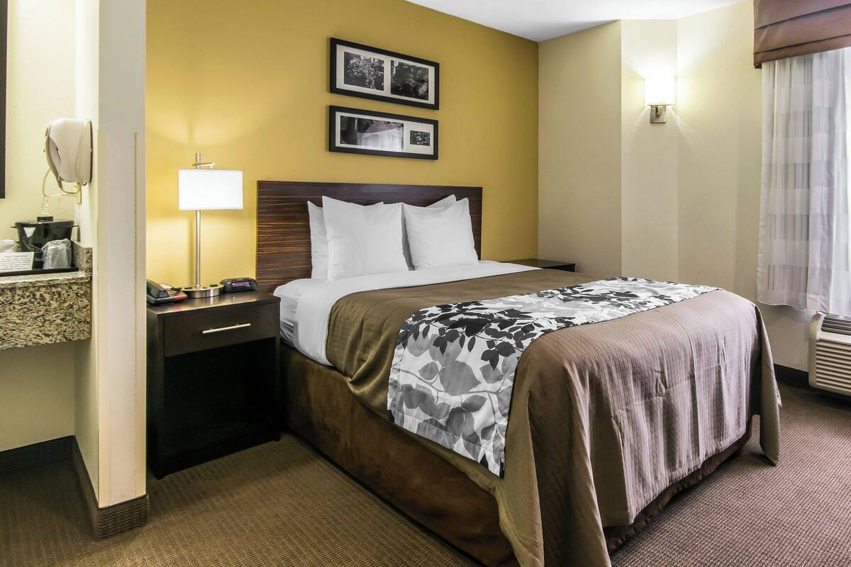 A hotel room with a bed, a nightstand, a lamp, a phone, and two framed pictures on the wall.