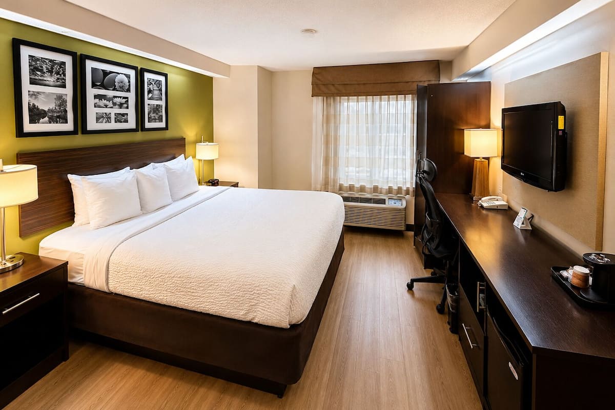 Room, 1 King Bed, Non Smoking