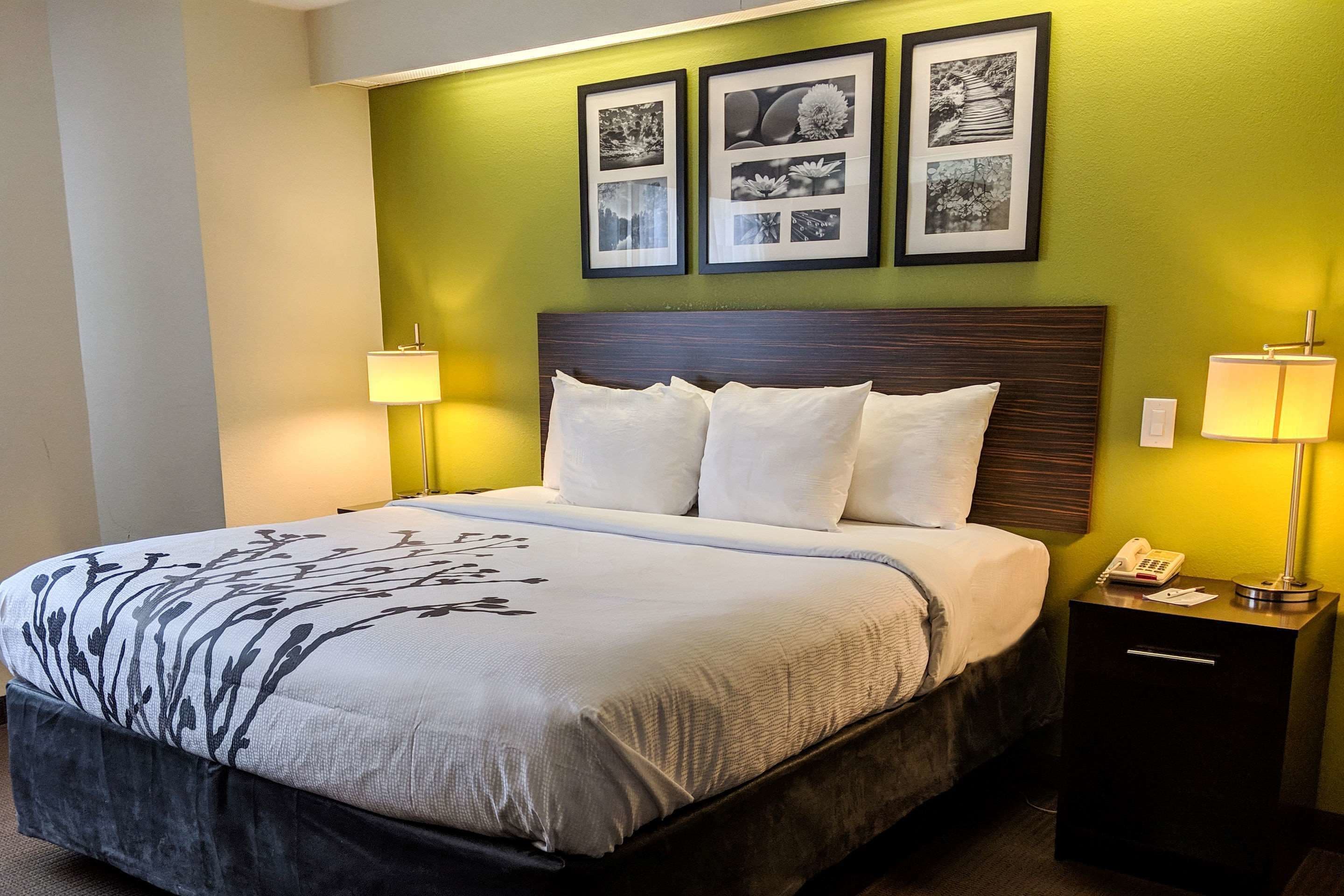 room, 1 king bed, non smoking | desk, laptop workspace, blackout curtains, iron/ironing board