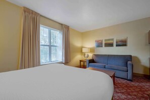 Deluxe Studio, 1 Queen Bed, Non Smoking, Refrigerator & Microwave