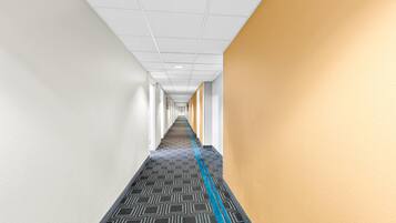 Un pasillo largo y estrecho con alfombra estampada y una franja azul que recorre el centro.