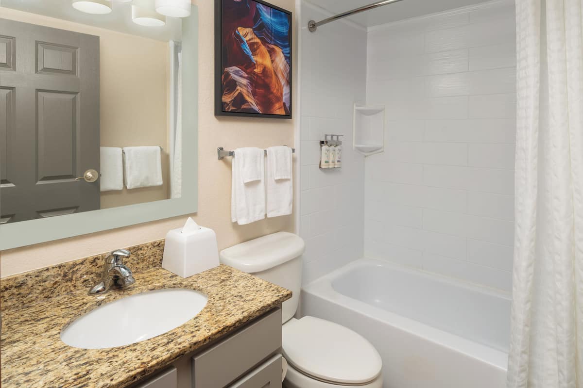 Combined shower/tub, free toiletries, hair dryer, towels