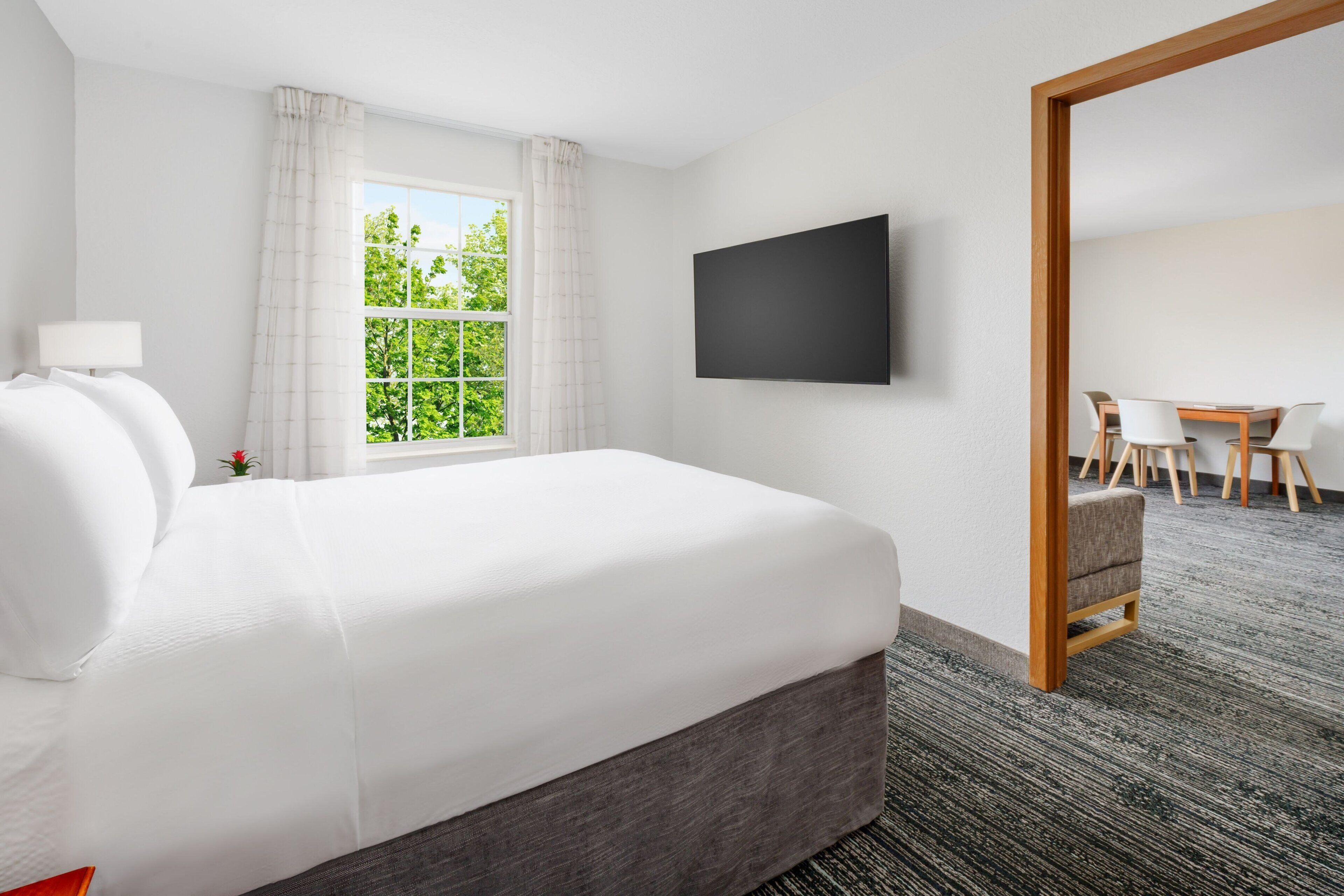 19-inch tv with satellite channels