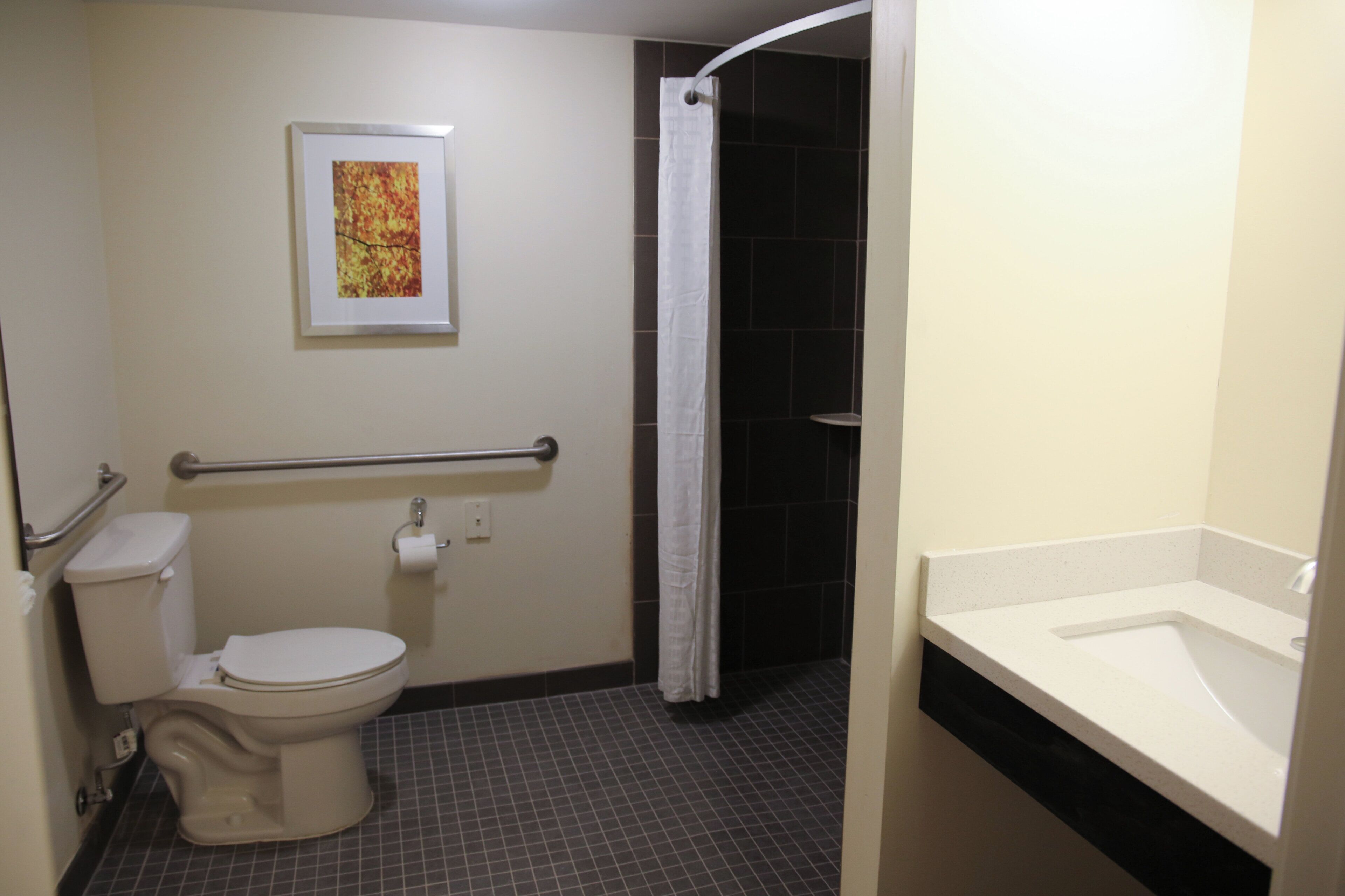 Un baño con inodoro, ducha y lavabo.