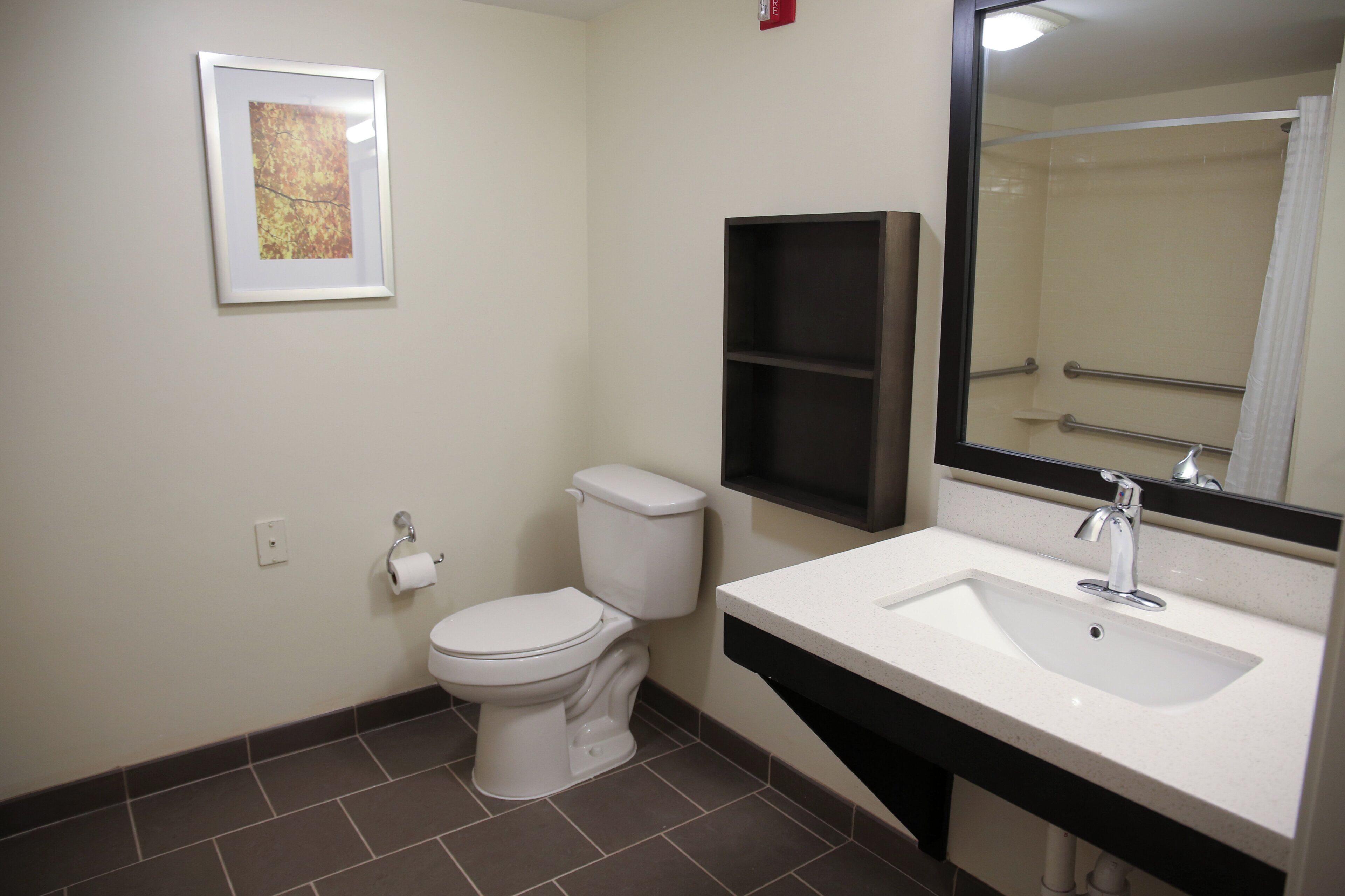 Een badkamer met toilet, wastafel, spiegel en een ingelijste foto aan de muur.