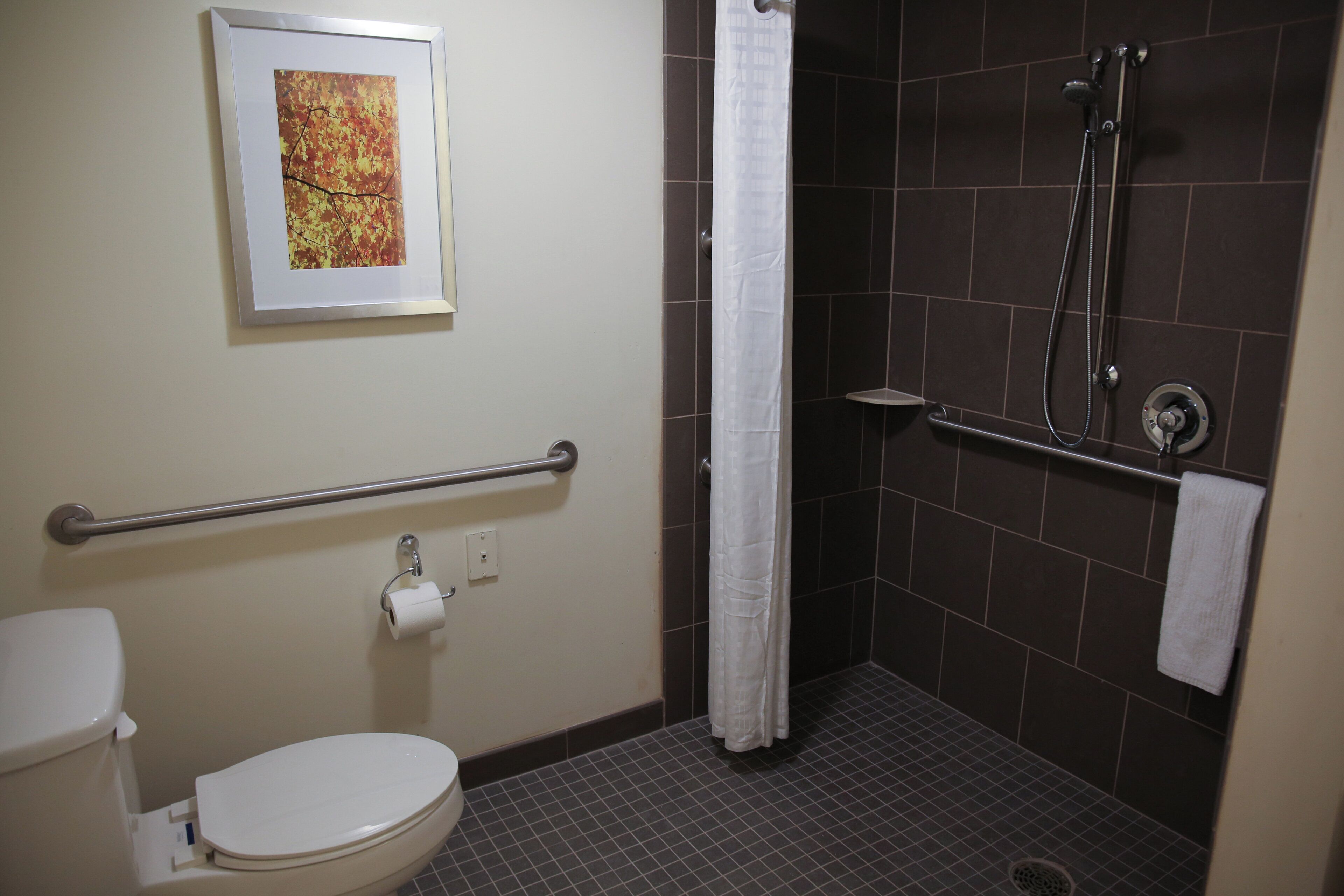A bathroom with a toilet, a shower with a grab bar, a towel rack, and a framed picture on the wall.