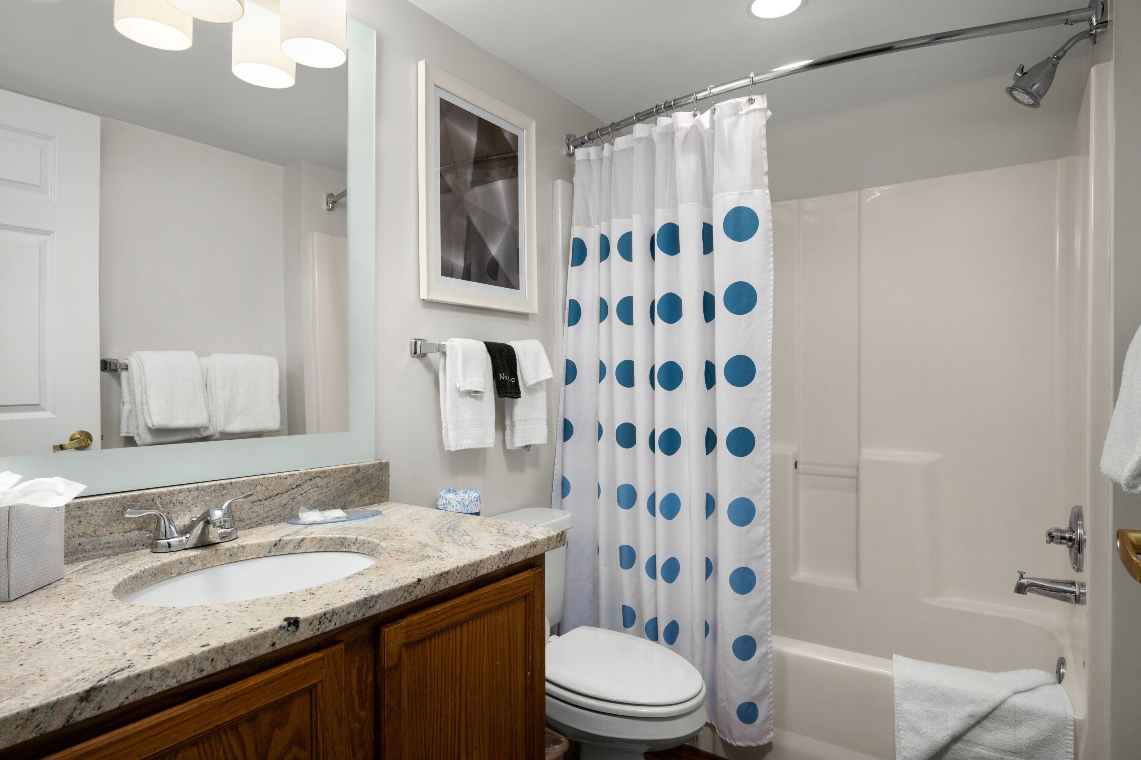 combined shower/bathtub, free toiletries, hair dryer, towels