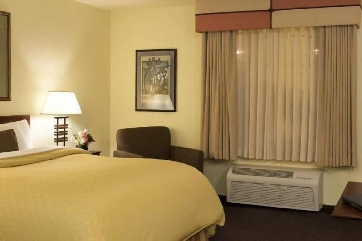 Hypo-allergenic bedding, down duvets, desk, laptop workspace