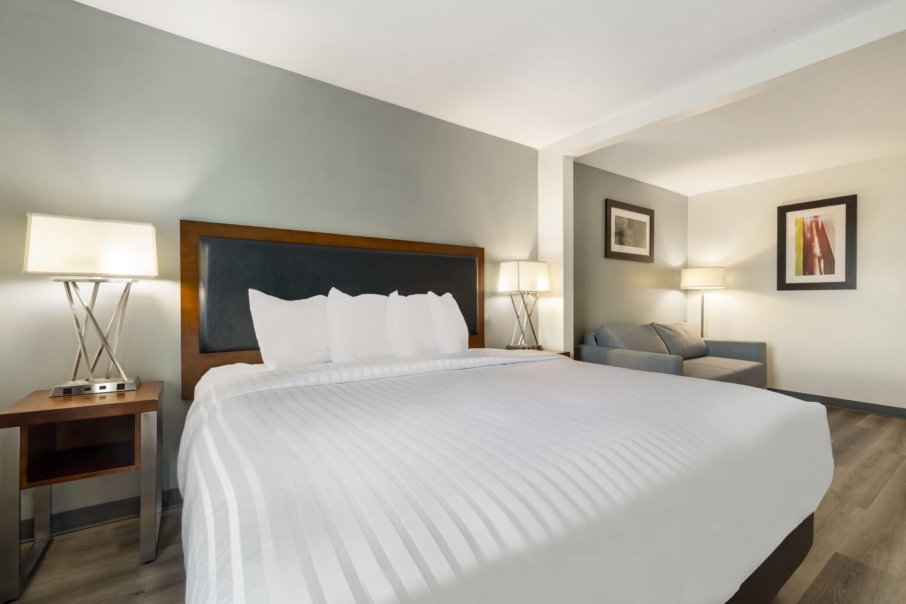 Standard Room, 1 King Bed | Desk, laptop workspace, blackout drapes, iron/ironing board