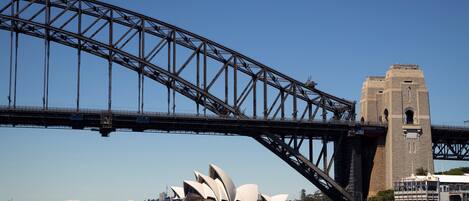A bridge with a large tower and the Sydney Opera House in the background.