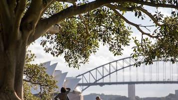 Ein Uferweg gesäumt von Bäumen, mit einer Brücke und dem Sydney Opera House im Hintergrund.