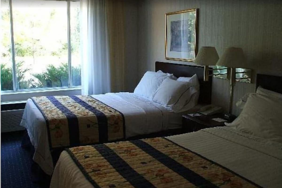 Een hotelkamer met twee bedden, een raam met gordijnen, een lijst met een foto aan de muur, en een bedlamp.