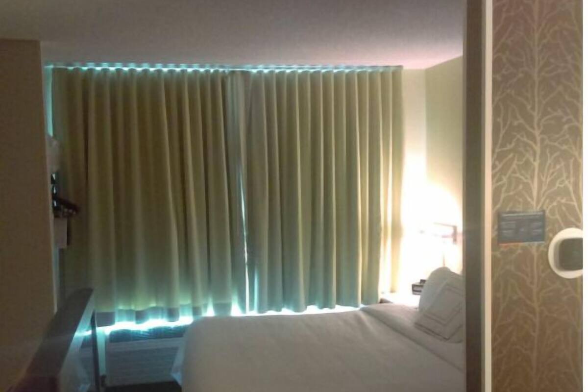 A hotel room with a bed, curtains, a desk, and a wall with a tree pattern.