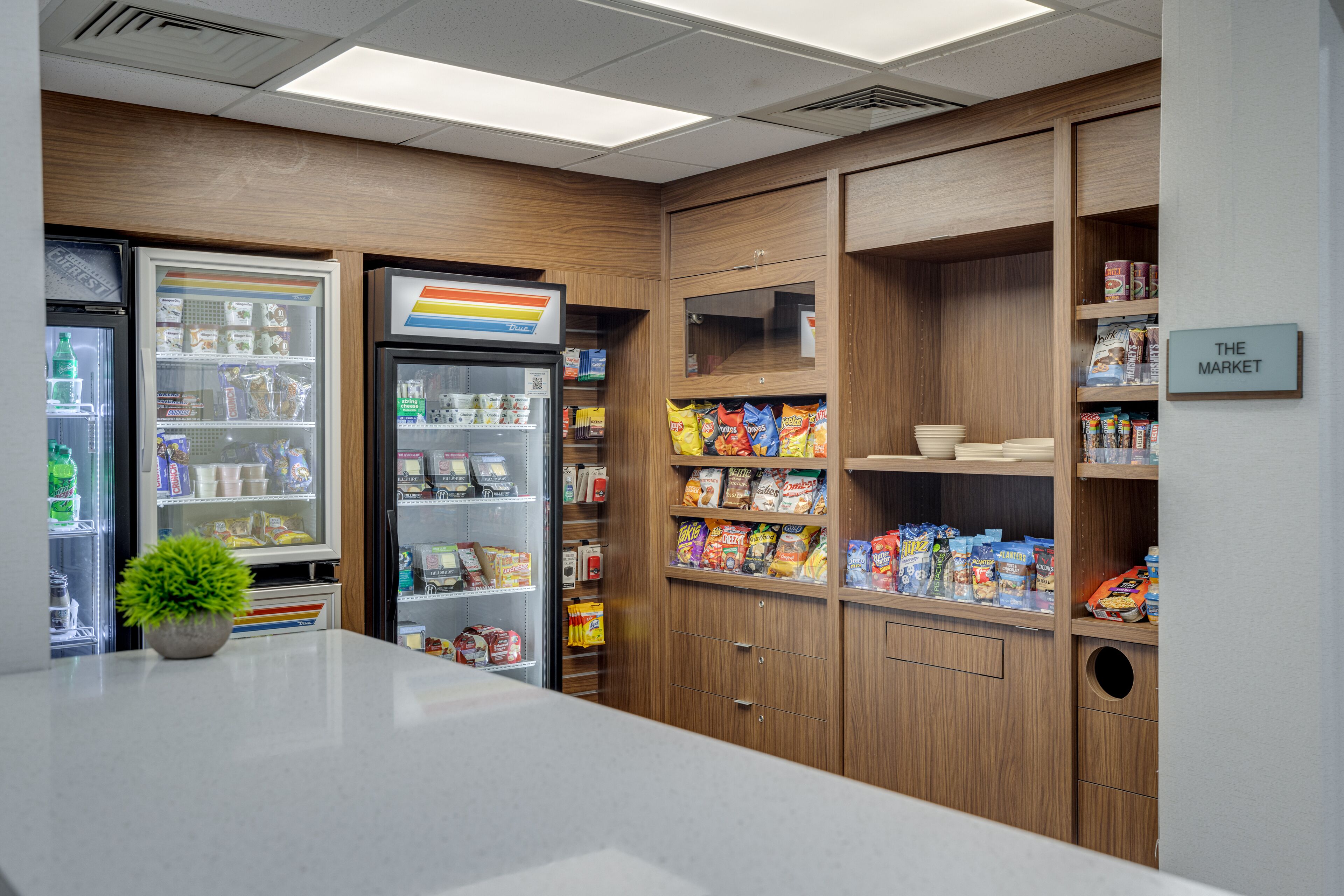 A kitchenette with a refrigerator, a freezer, and a microwave. There is a small plant on the counter.