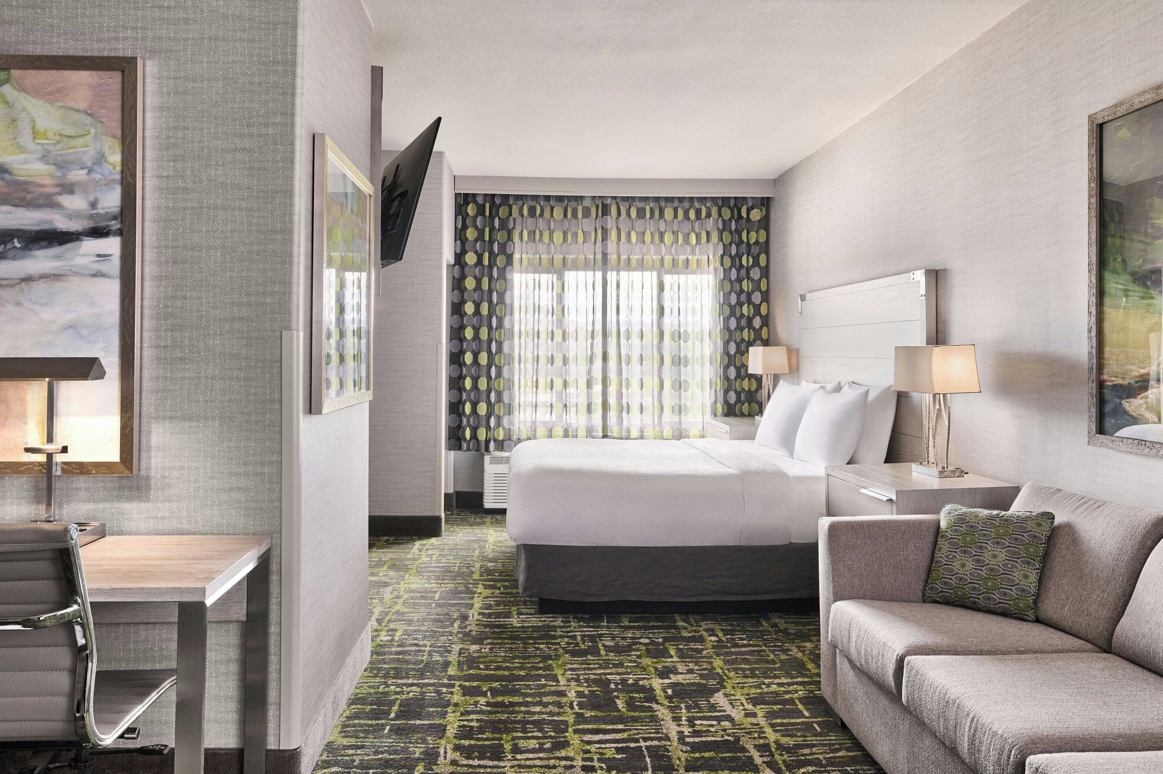 Studio, 1 King Bed with Sofa bed