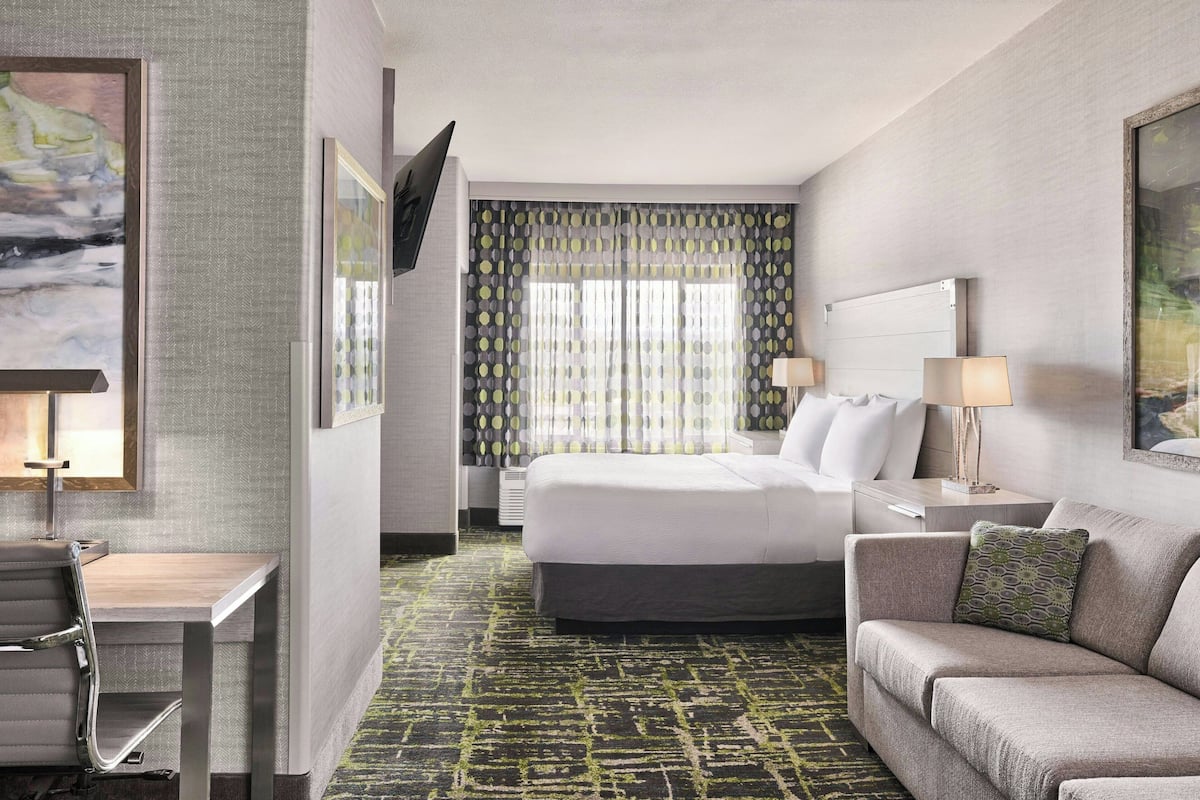 Studio, 1 King Bed with Sofa bed