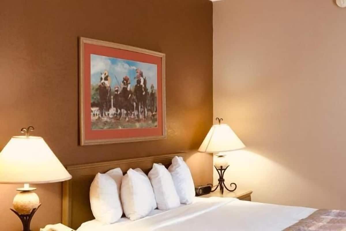 Quarto de hotel com cama, almofadas, um quadro na parede e duas luminárias de cabeceira.