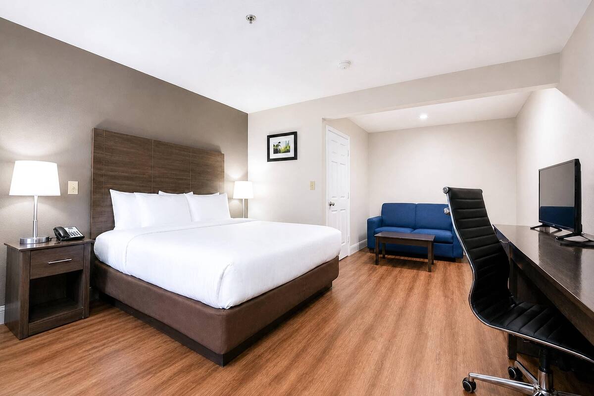 A hotel room with a bed, a desk, a chair, a sofa, and a TV.