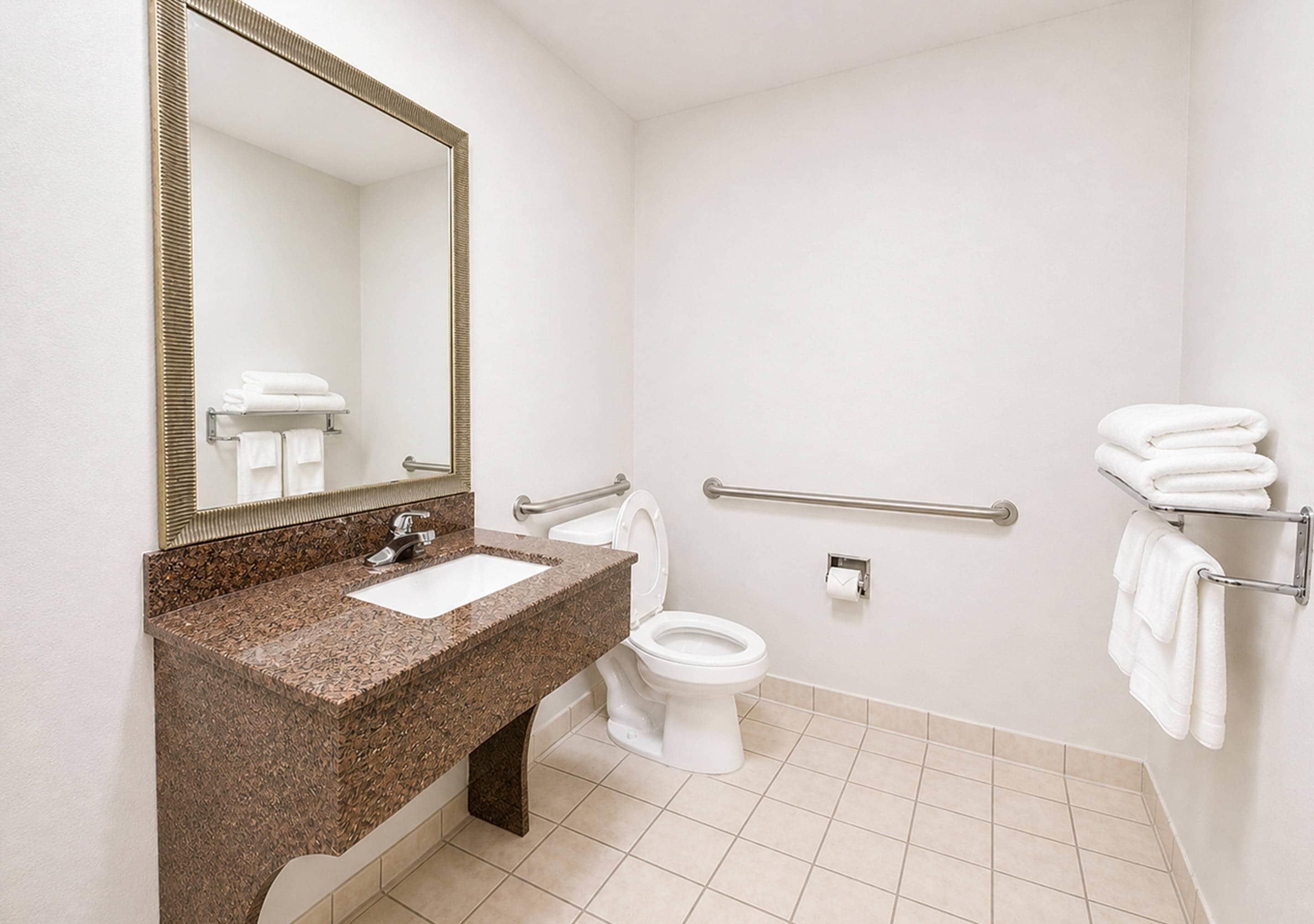 A bathroom with a granite countertop sink, a white toilet, a large mirror, and a towel rack.