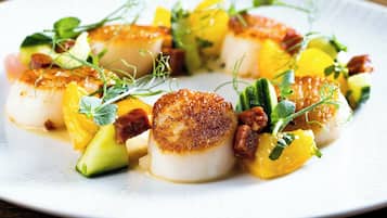 A plate of seared scallops with vegetables and herbs.