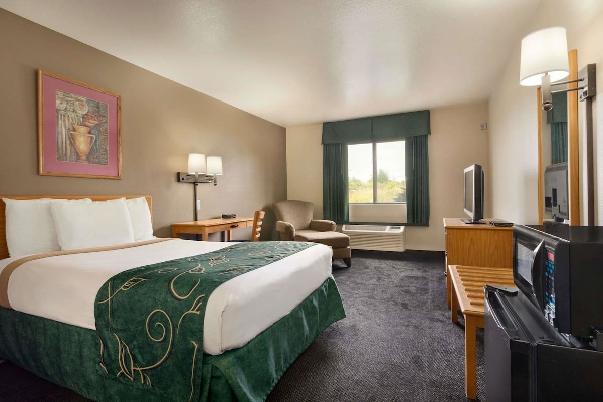 A hotel room with a bed, desk, chair, TV, and a window with curtains.