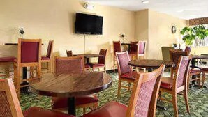 A hotel dining area with round tables and chairs, a flat-screen TV on the wall, and a potted plant.