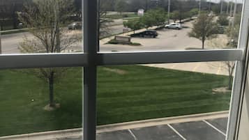 Vista desde la habitación