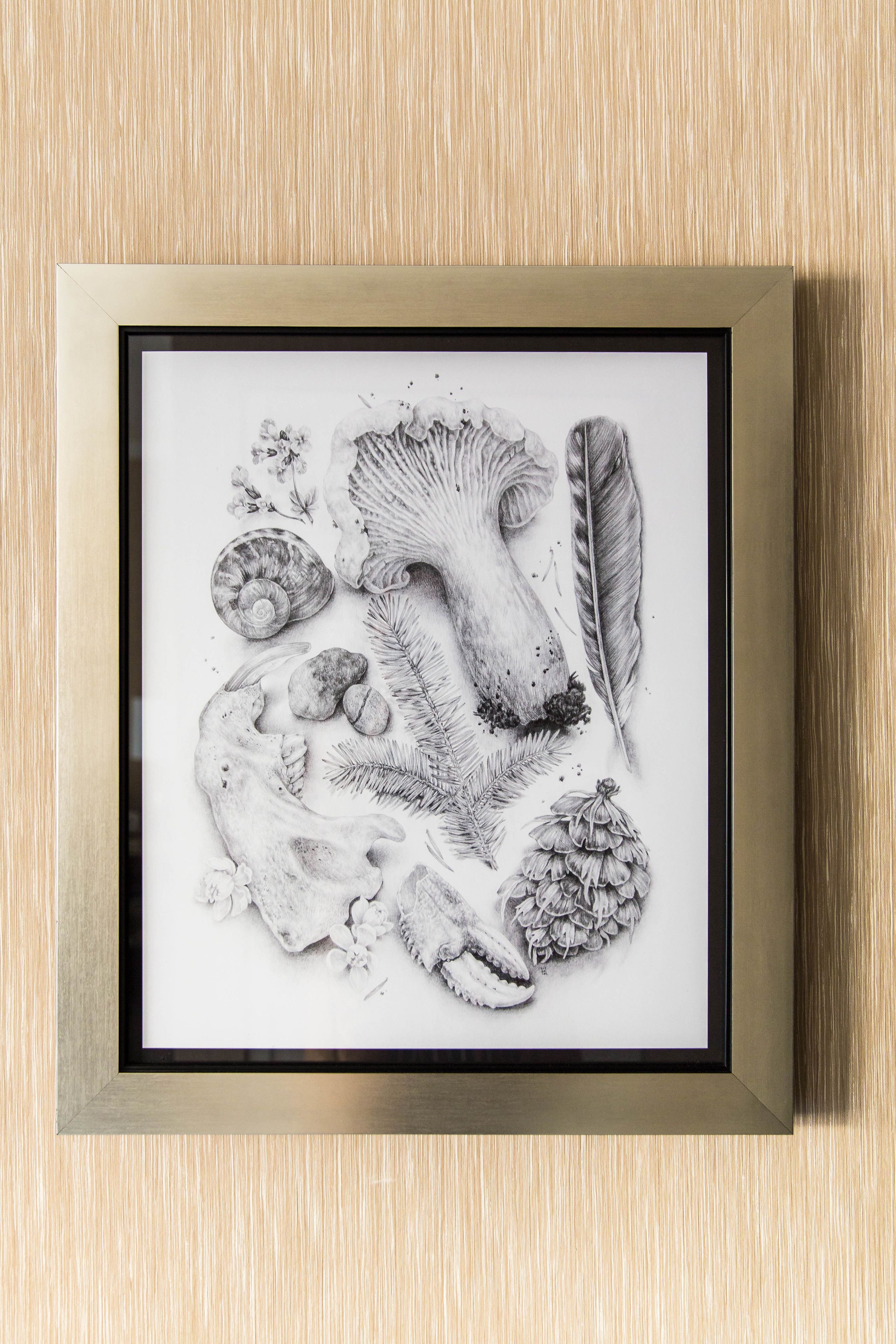 A framed black and white drawing of various natural elements including a mushroom, a feather, and seashells.