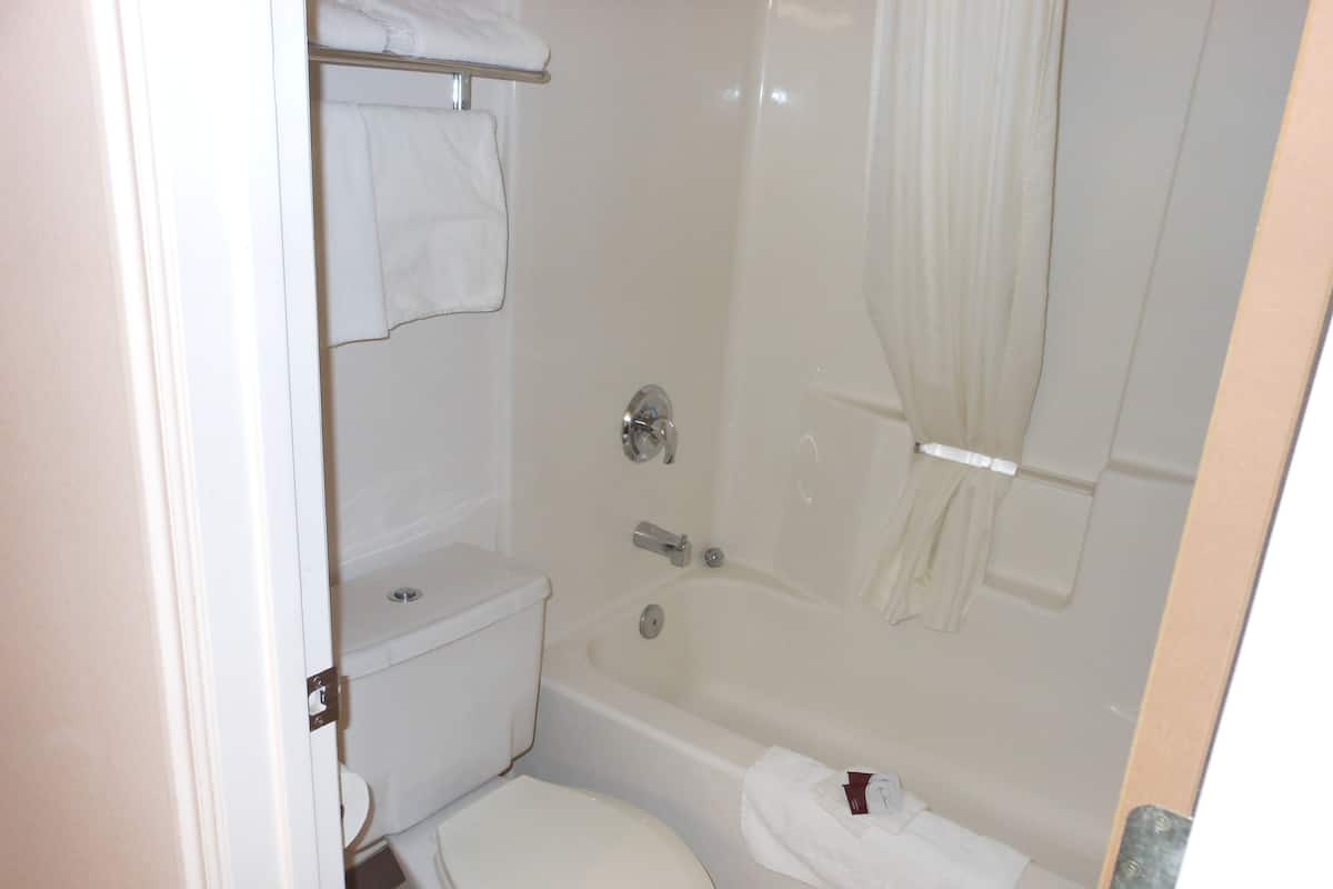 Bathtub, hair dryer
