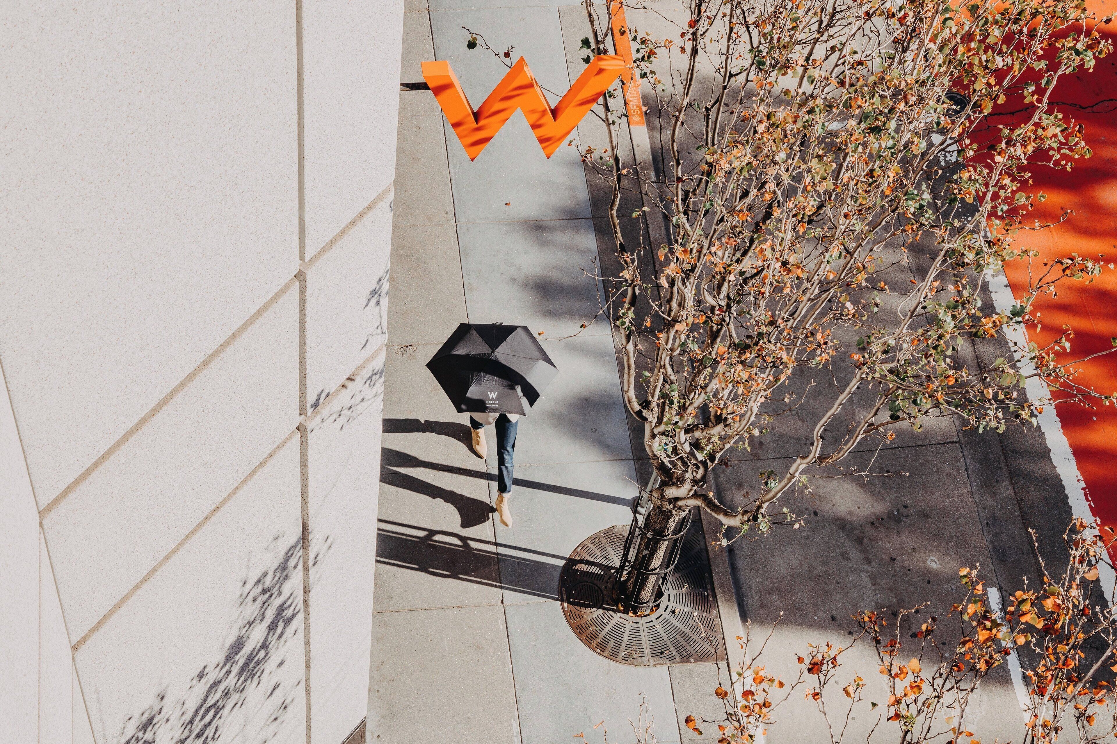 Photo - W San Francisco