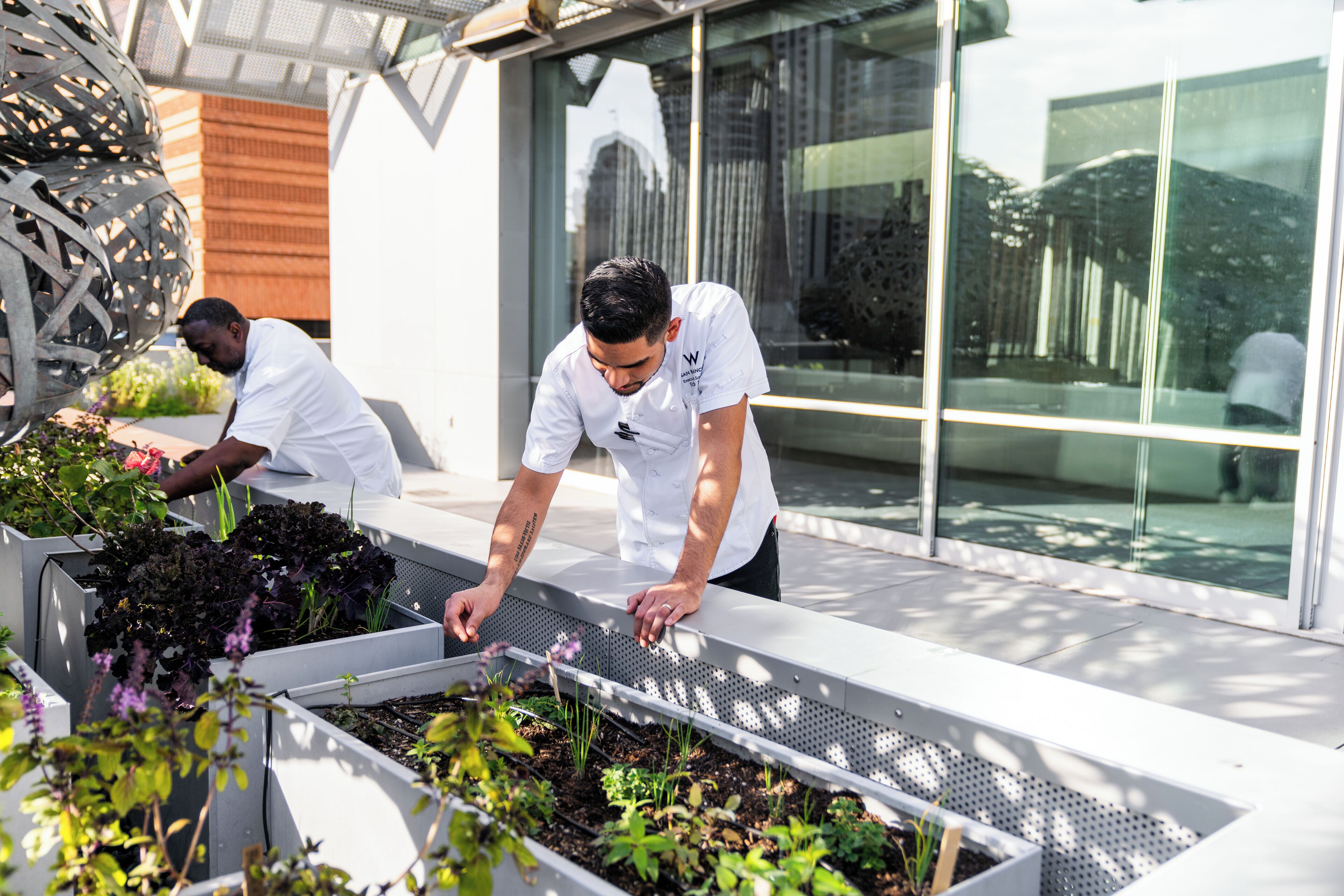 Photo - W San Francisco