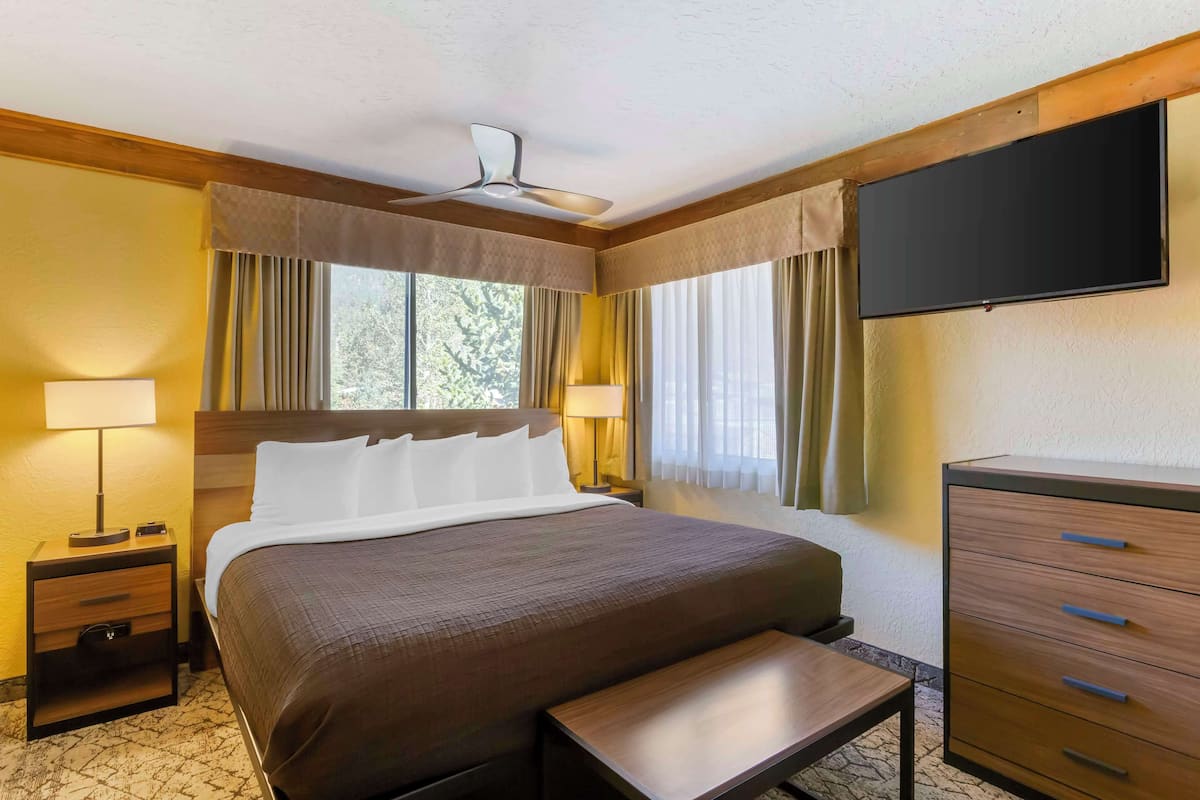 Standard Room, 1 Queen Bed, Non Smoking, Kitchen (Bunk beds) | Desk, iron/ironing board, free WiFi, bed sheets