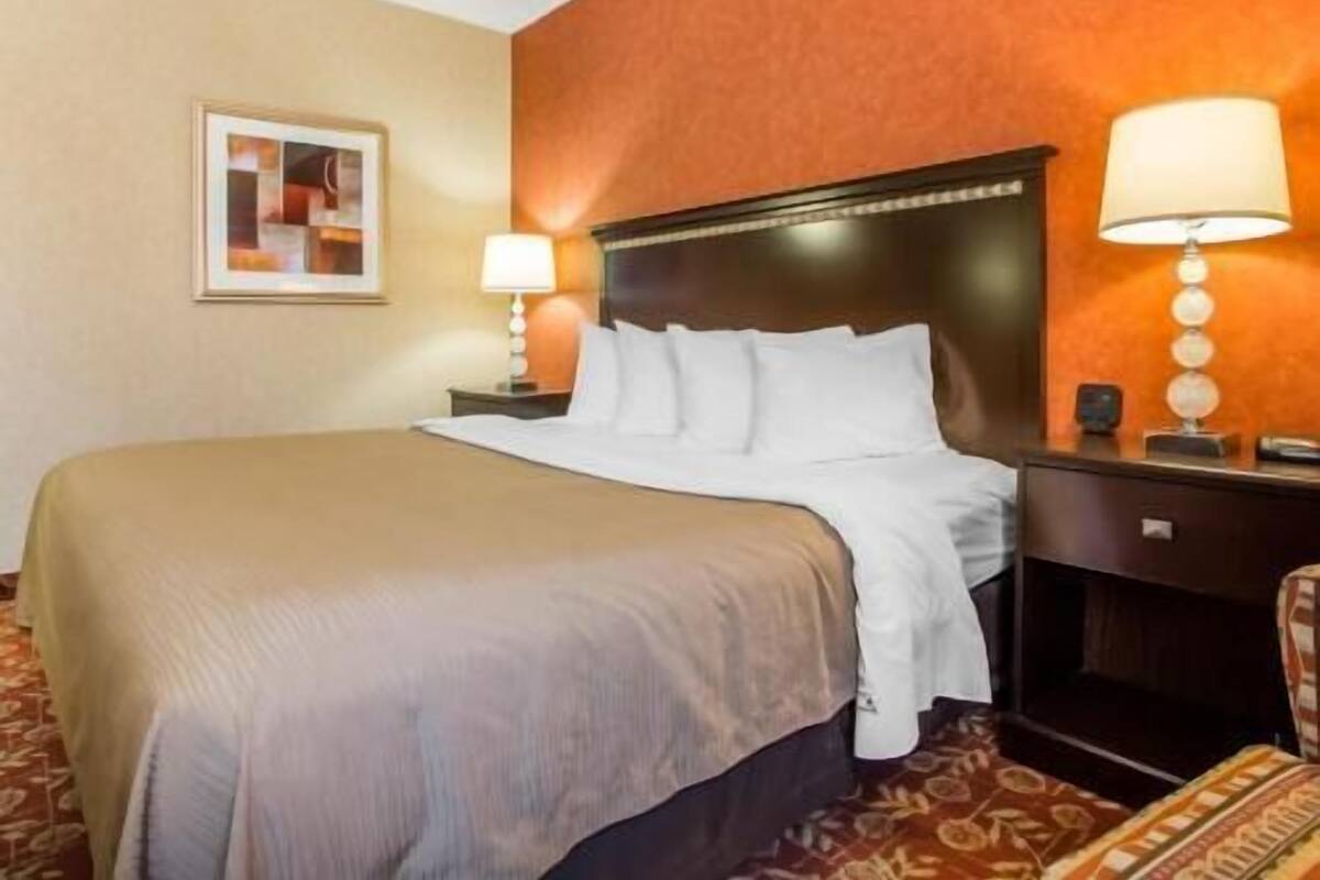 A hotel room with a large bed, two bedside tables with lamps, a framed picture on the wall, and a patterned carpet.