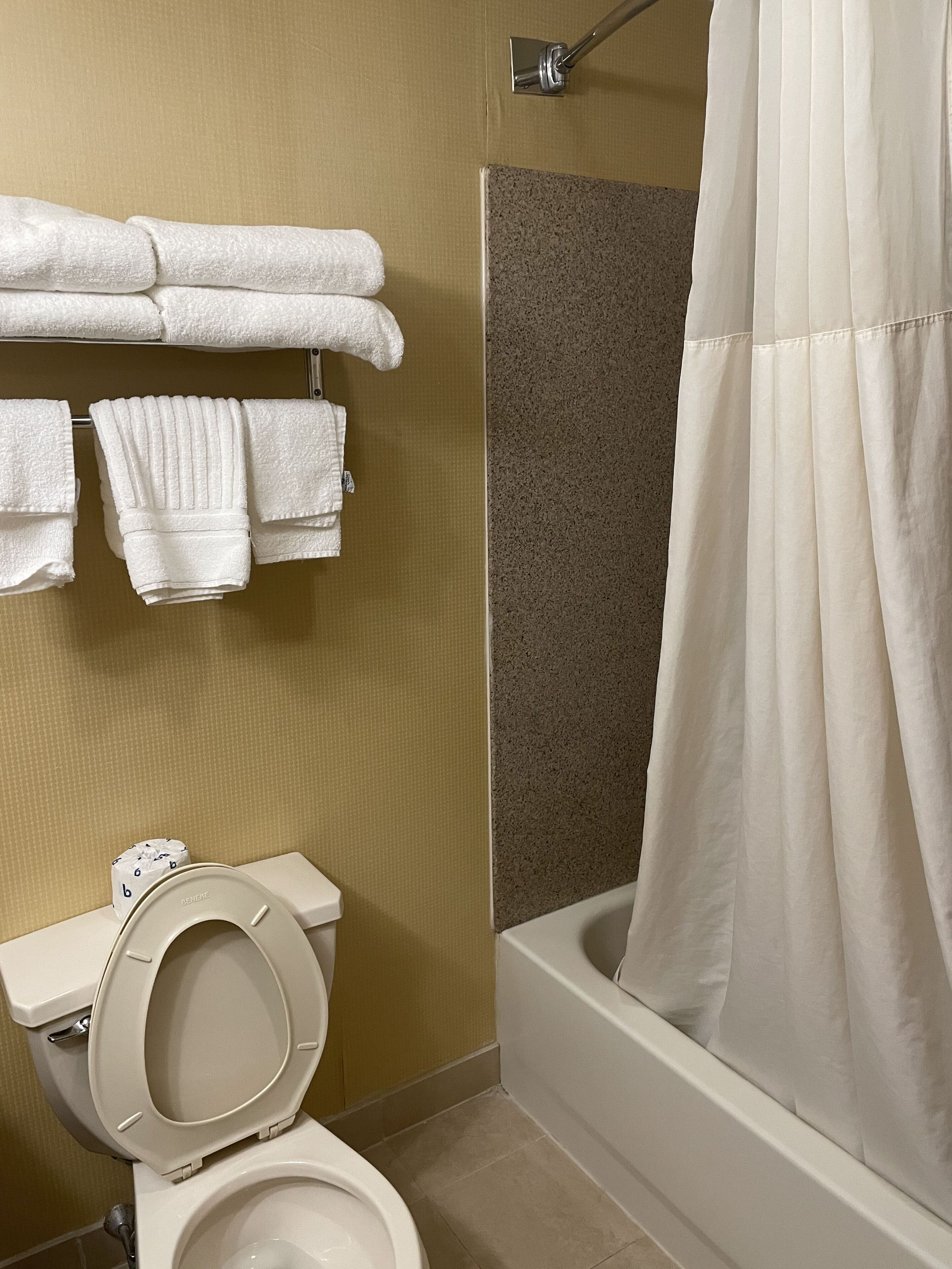 Une salle de bain avec des toilettes, une douche avec un rideau et des serviettes suspendues sur un porte-serviettes.