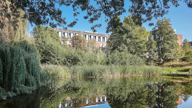 Un estanque tranquilo con reflejos de árboles y un edificio al fondo.