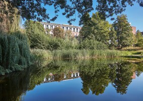 A serene pond with reflections of trees and a building in the background.