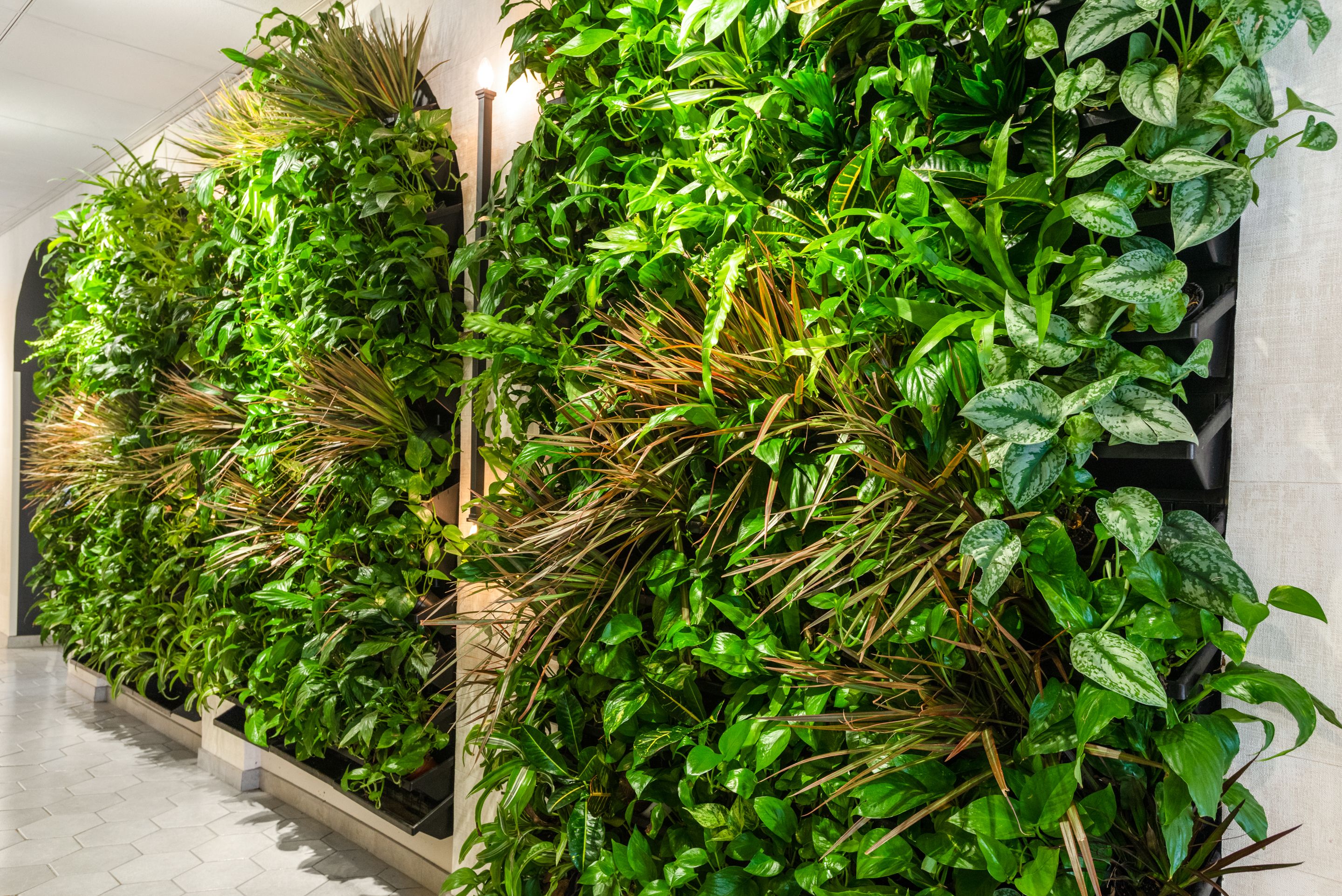 Foto - Drury Plaza Hotel San Antonio Riverwalk