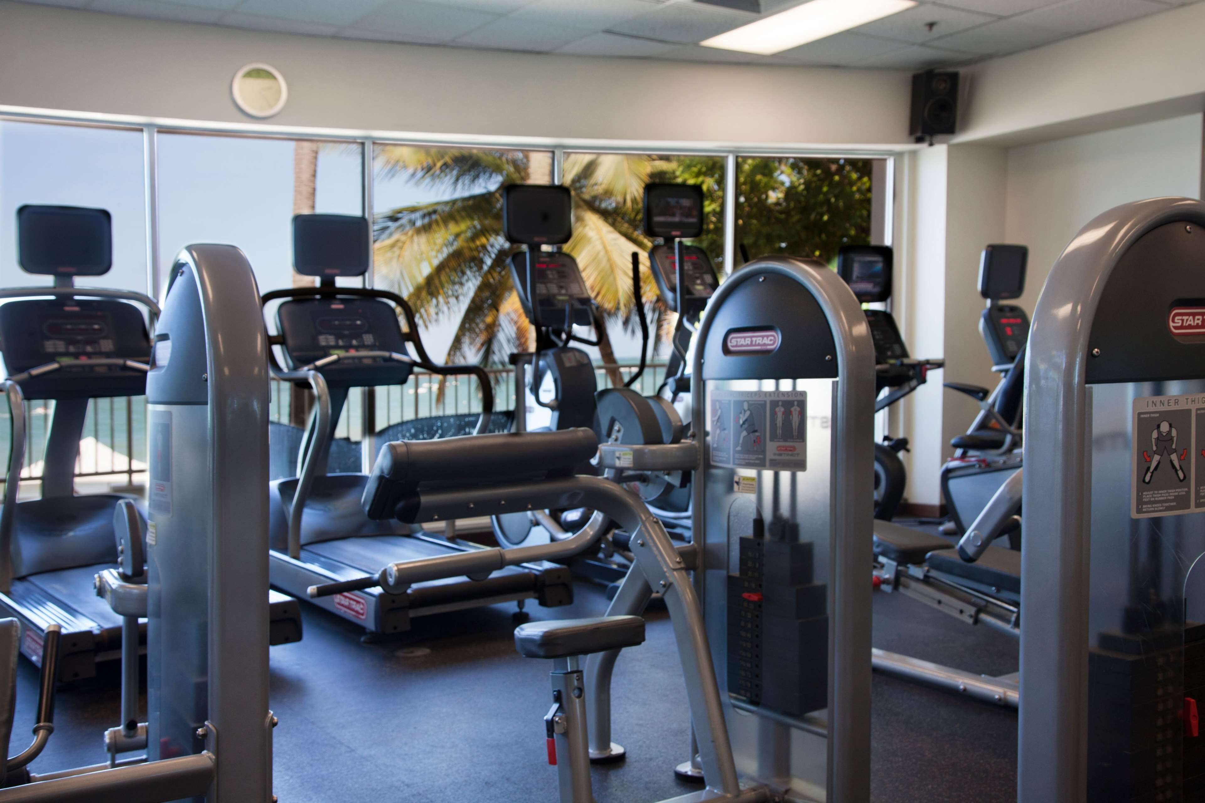 Un gimnasio con diversos equipos de ejercicio, incluyendo cintas de correr y máquinas de pesas, dispuesto en un espacio amplio.