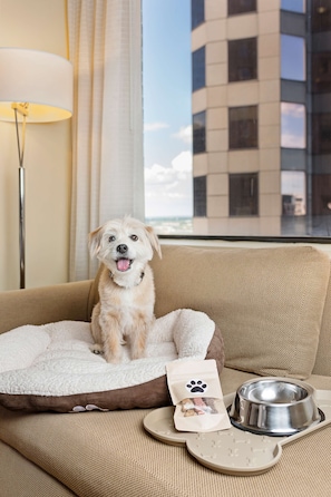 Premium bedding, in-room safe, desk, laptop workspace