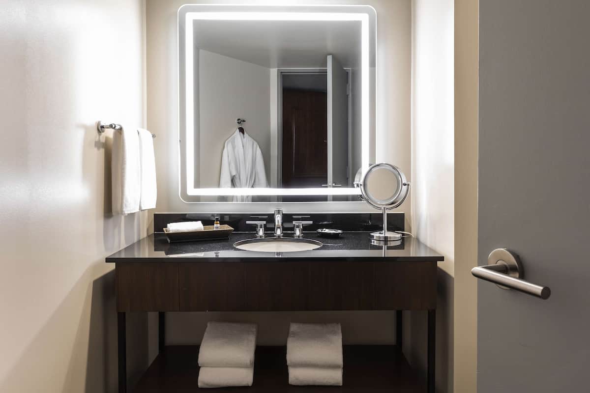 Combined shower/bathtub, free toiletries, hair dryer, towels