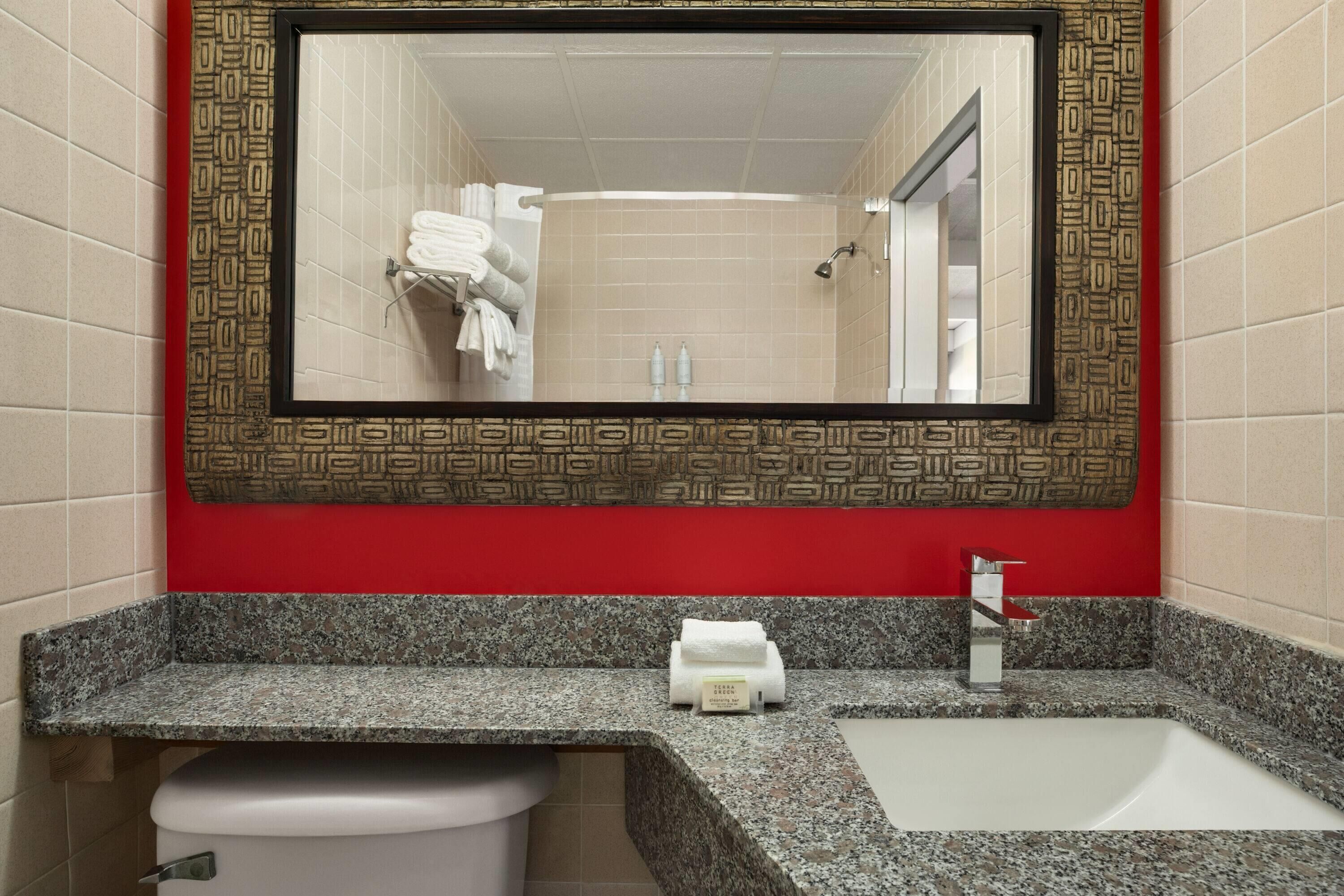 Een badkamer met een grote spiegel, een wit wastafel en een toilet.