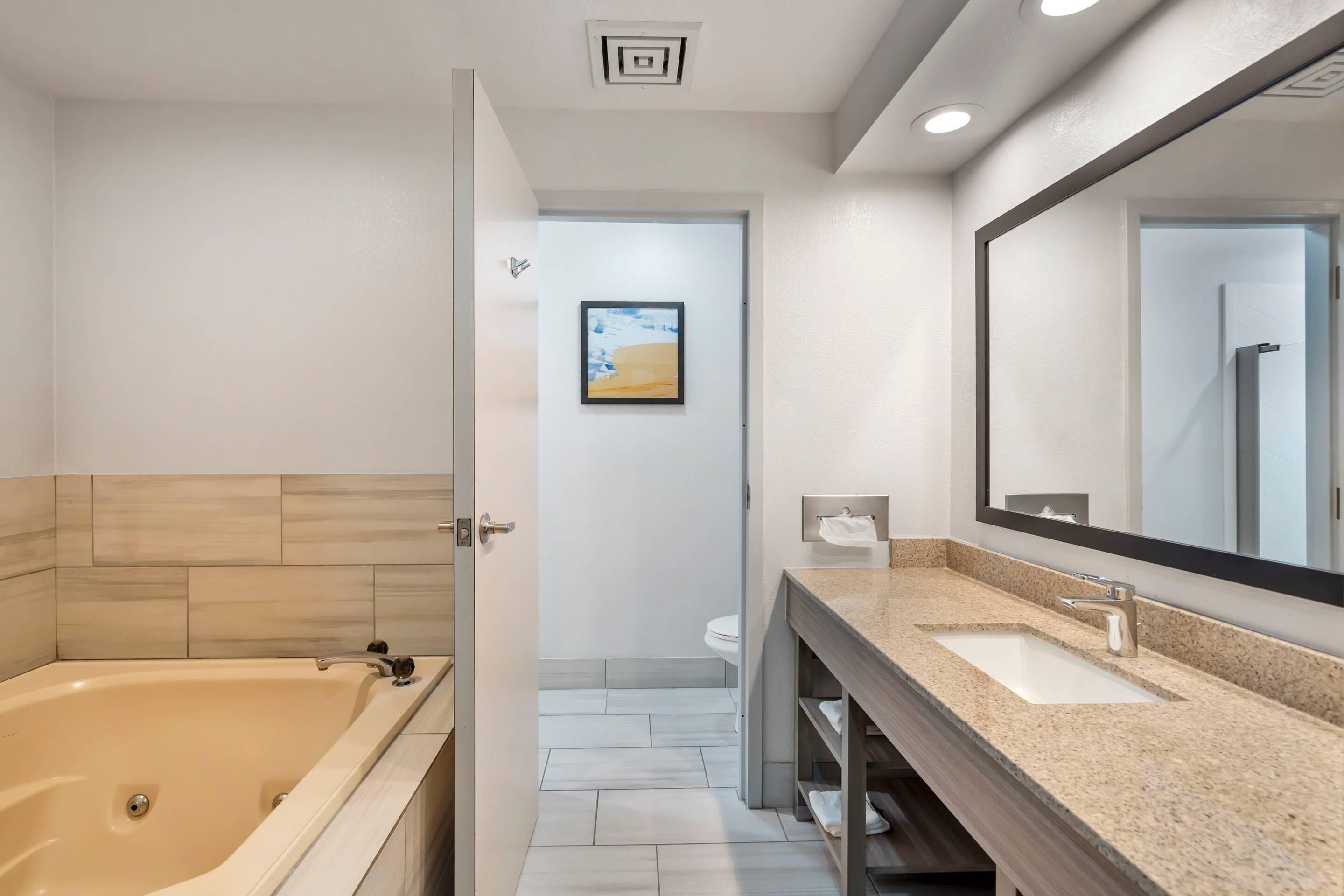 Une salle de bain moderne avec une baignoire, un lavabo et un grand miroir.