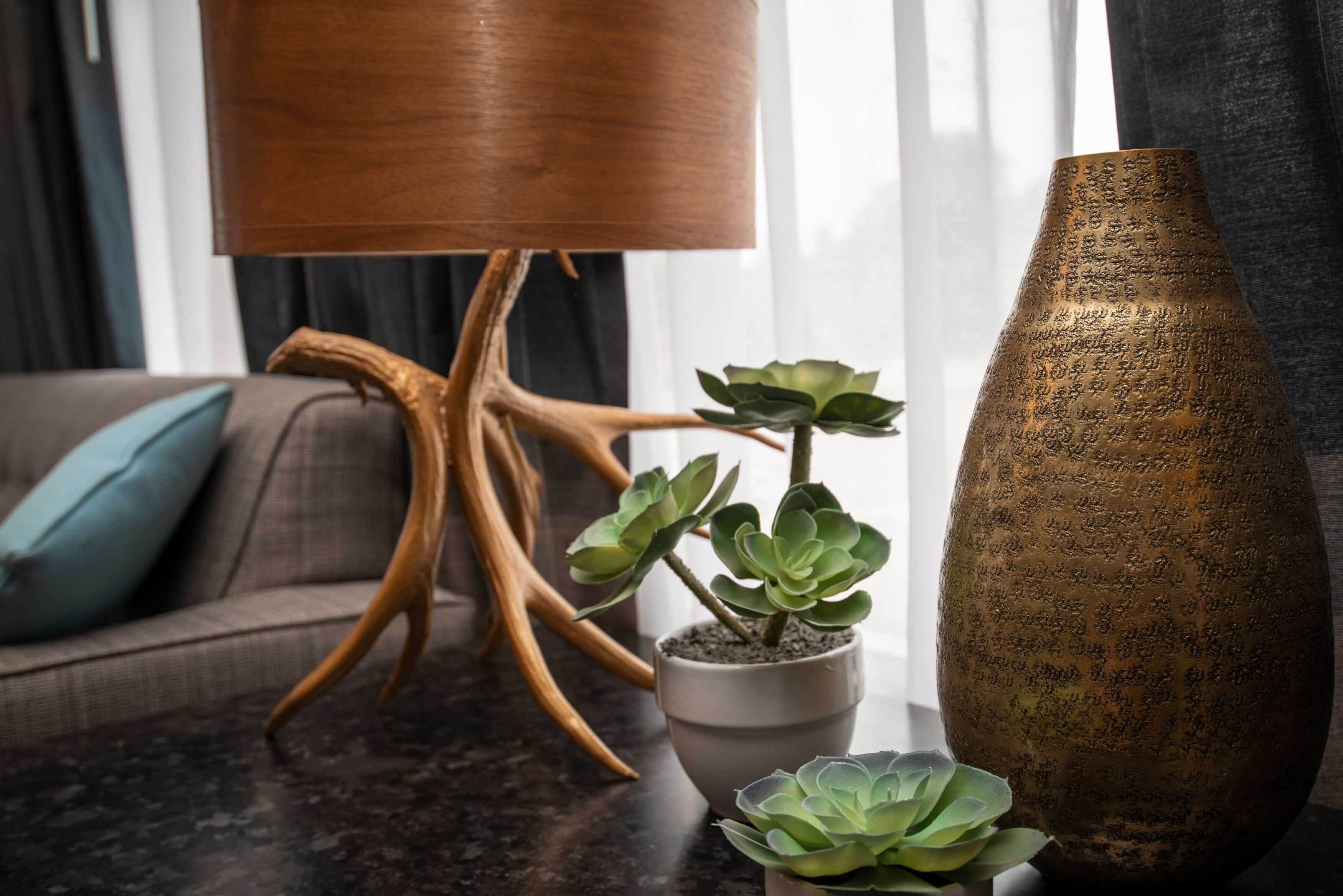 Una sala de estar con una lámpara de pie moderna, una planta suculenta en maceta y un jarrón decorativo.