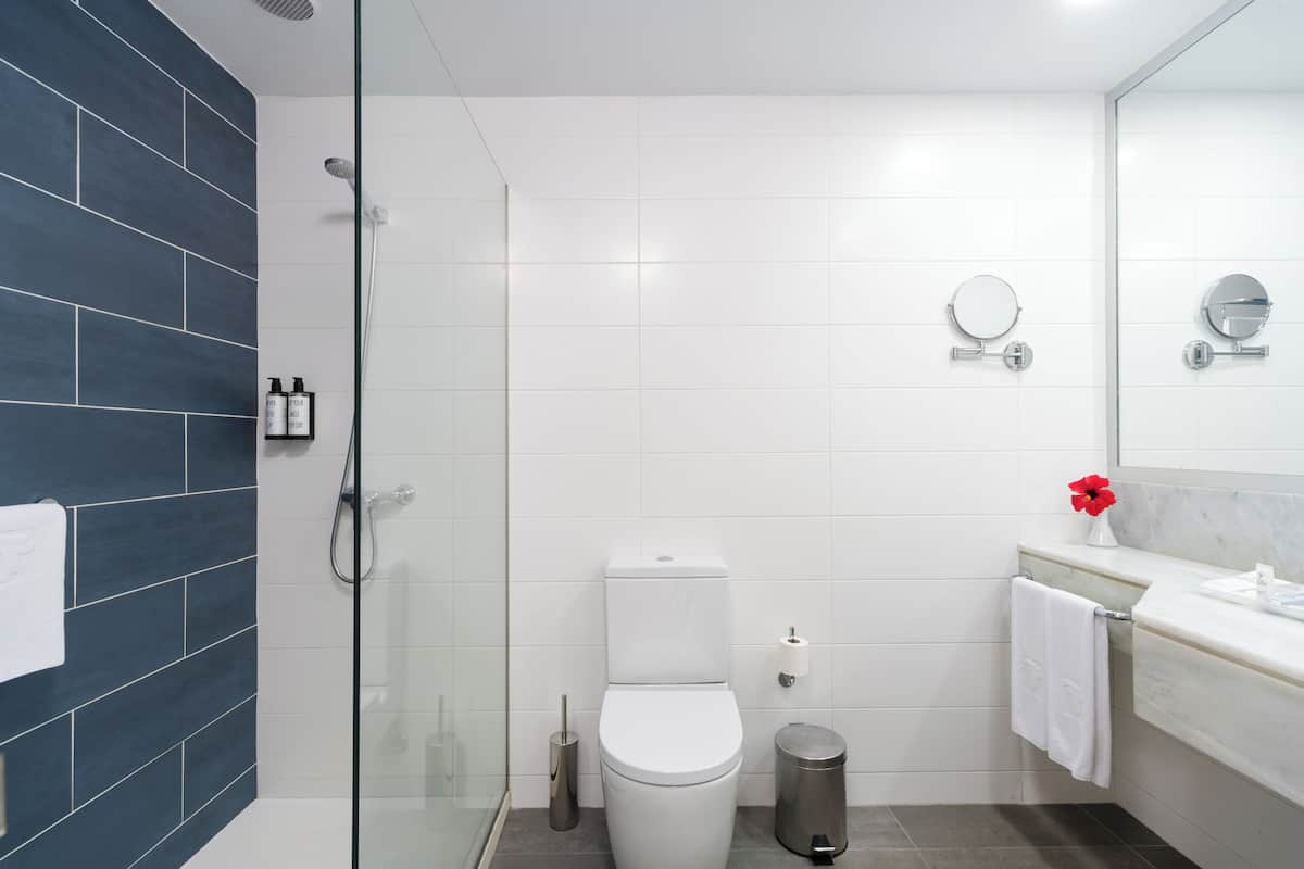 free toiletries, hair dryer, towels