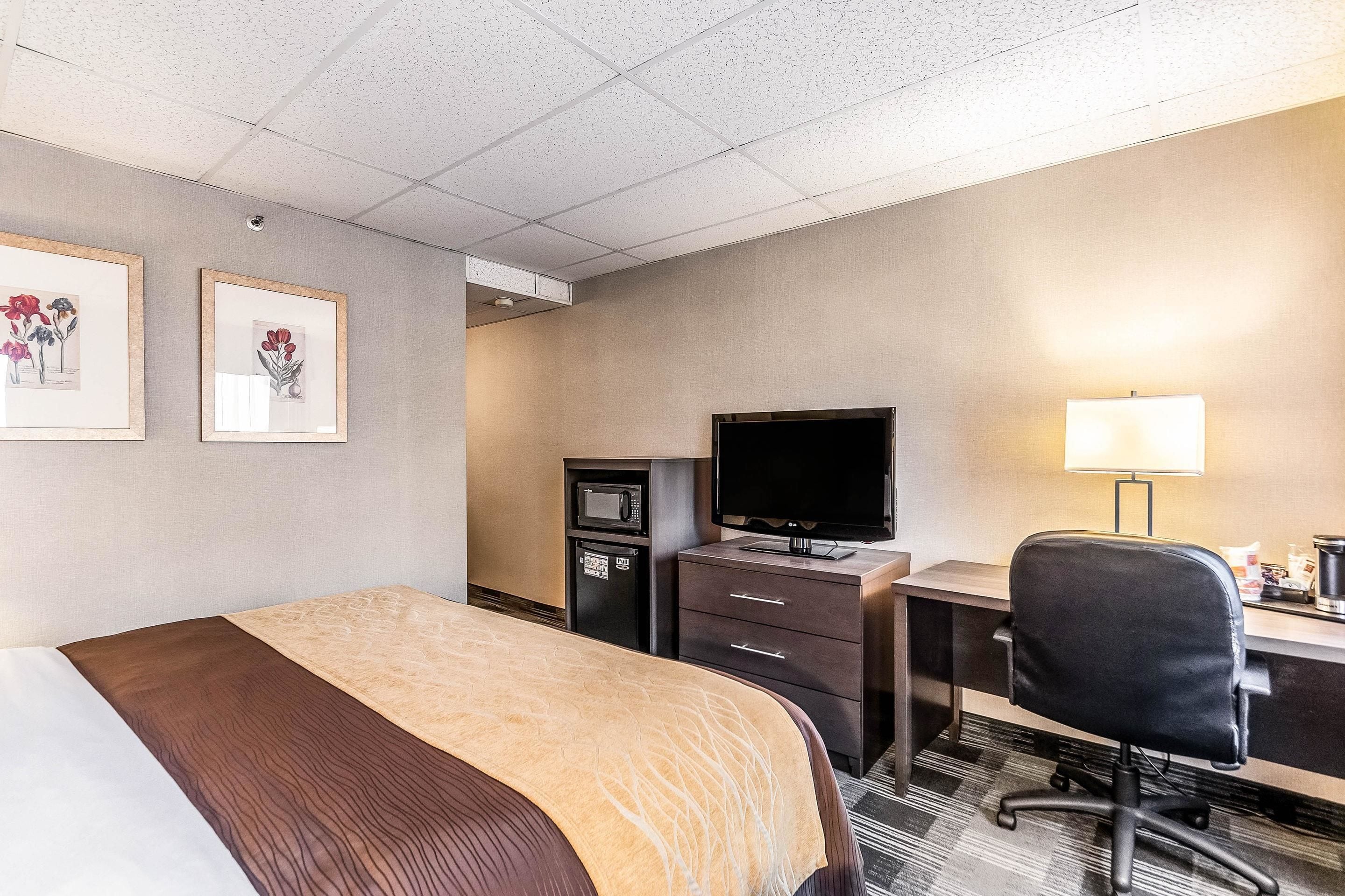 A hotel room with a bed, a desk, a chair, a television, a microwave, and framed artwork on the wall.