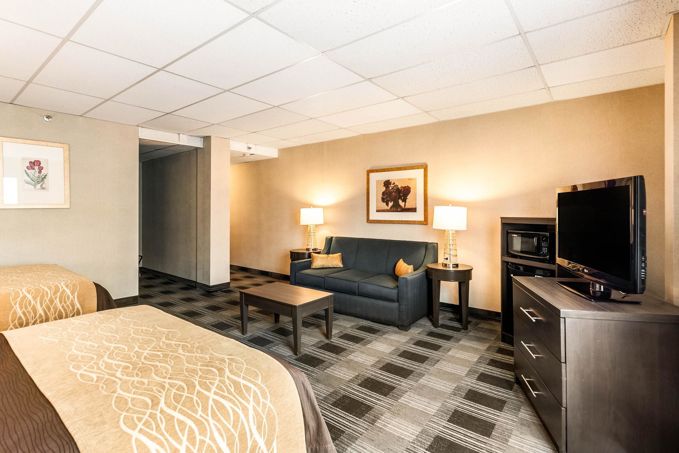 A hotel room with a bed, a sofa, a TV, a microwave, and a dresser.