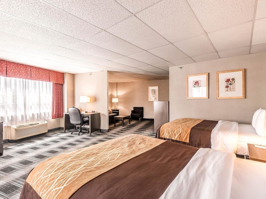 Standard Room, Multiple Beds, Non Smoking (2 Queen, 1 Person Sofa Bed) | Desk, laptop workspace, blackout curtains, iron/ironing board